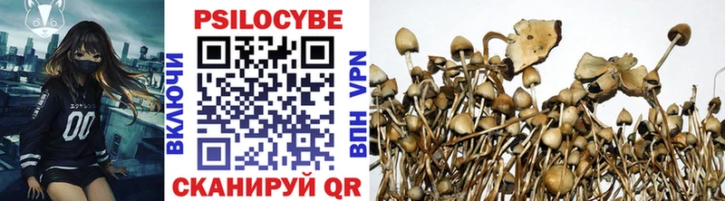 ОМГ ОМГ ссылки  Ногинск  Псилоцибиновые грибы Cubensis 