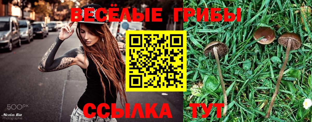 дарнет шоп  Галлюциногенные грибы Psilocybine cubensis  Вход с VPN  Ногинск 